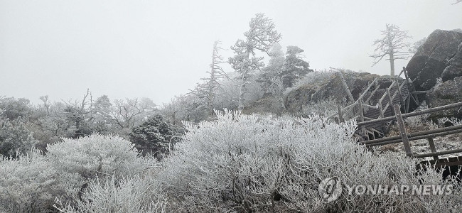 지리산 올해 첫눈